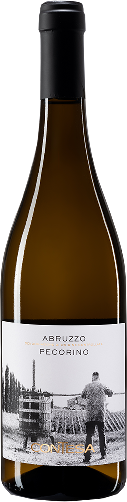 CONTESA PECORINO BIO CL75 BT6