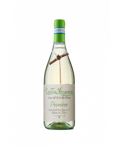 PECORINO -IL TRALCETTO- ZACCAGNINI CL 37,5 BT12