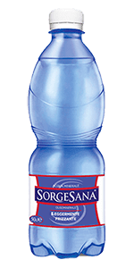 A. SORGESANA FRIZZANTE PET CL 50 BT 24